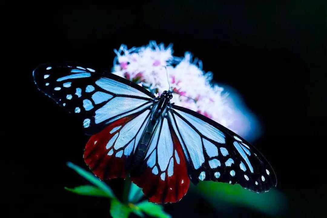 Խ������ĳ���ˣ���Խ��������ǿ��ʹ�࣡