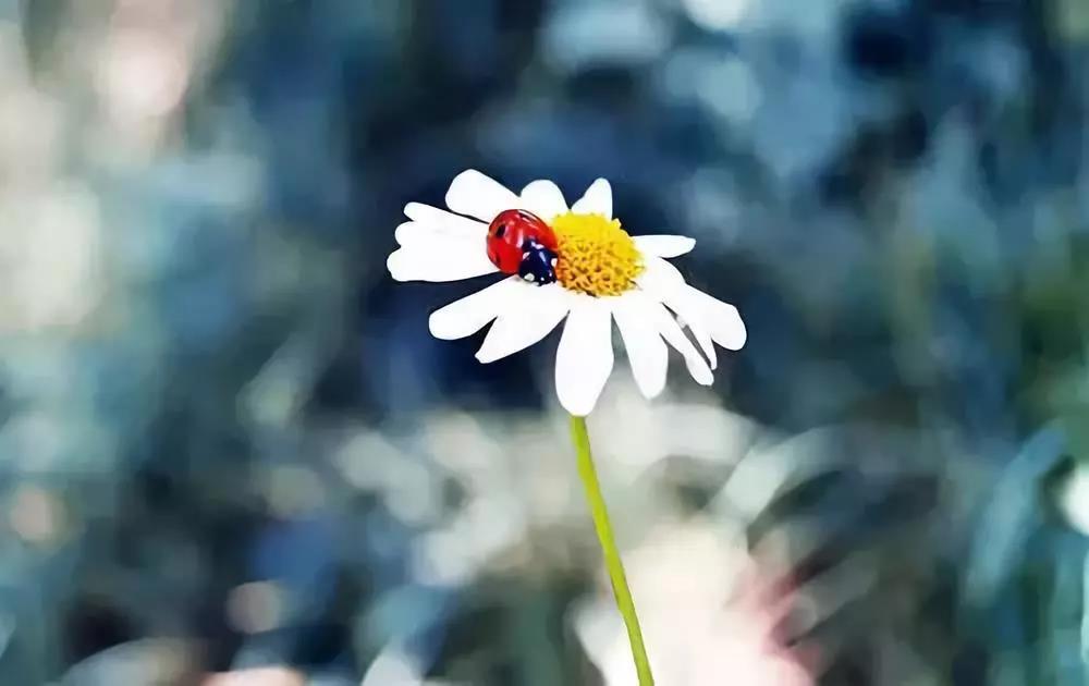 �����еĿ��ѣ����Ľ�����������ǽ���