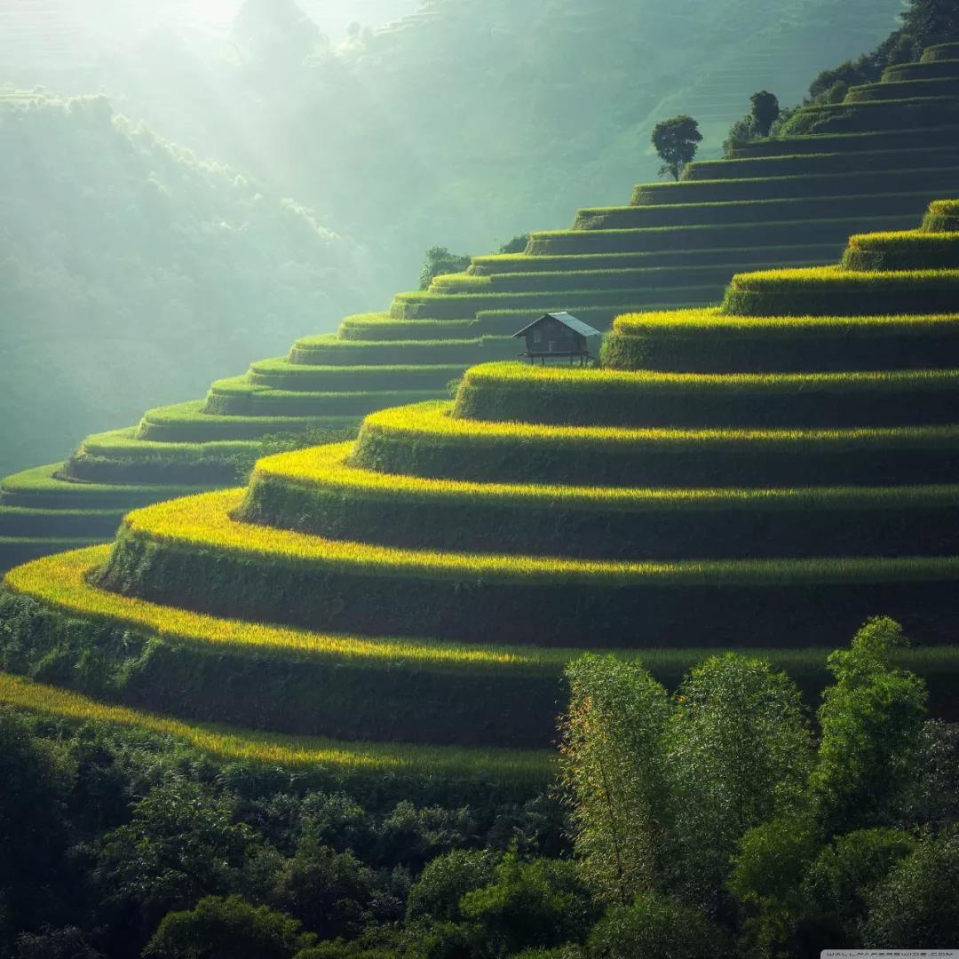 �����еĿ��ѣ����Ľ�����������ǽ���