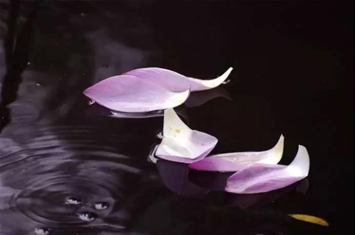 �����еĿ��ѣ����Ľ�����������ǽ���