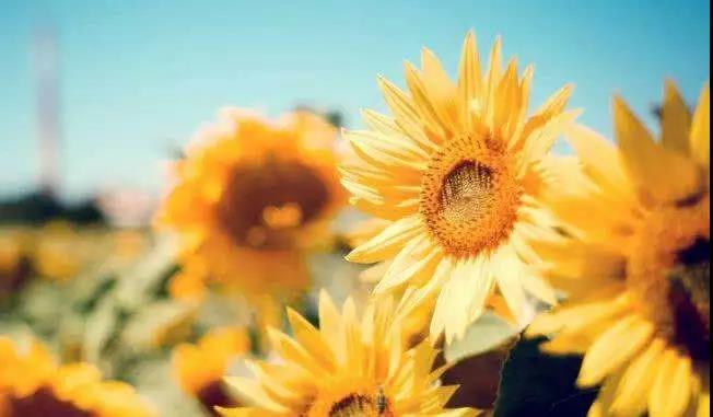 �����еĿ��ѣ����Ľ�����������ǽ���