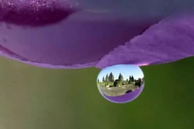 Ϊʲô����Խ��Խ�٣���Щϸ��һ��Ҫע��