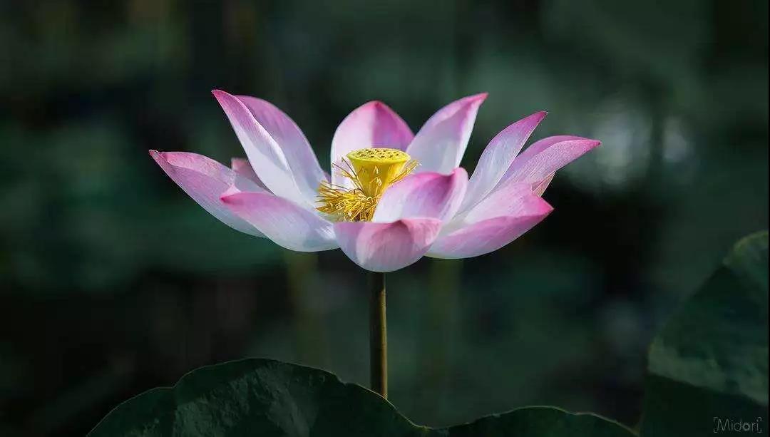 ��ʱ�򣬲�������������ʧ���ˣ��������ǹ���̫̰����