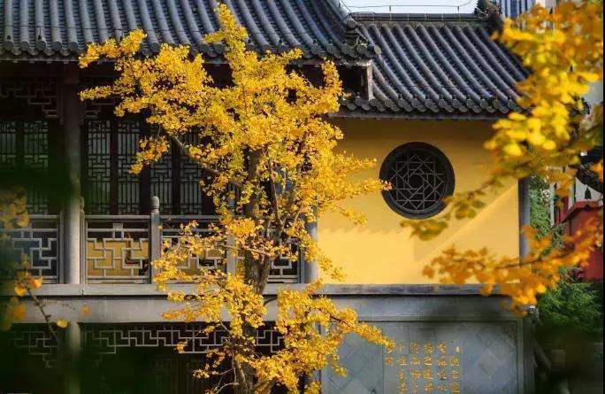 学佛修行就是要将佛法运用到生活中,那到底如何运用呢? 学佛修行就是要将佛法运用到生活中,那到底如何运用呢?