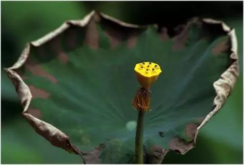 活在当下,转化你根深蒂固的习气 活在当下,转化你根深蒂固的习气