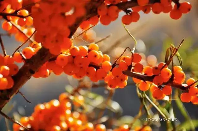 һ����̨ɽ����Ե����꣡