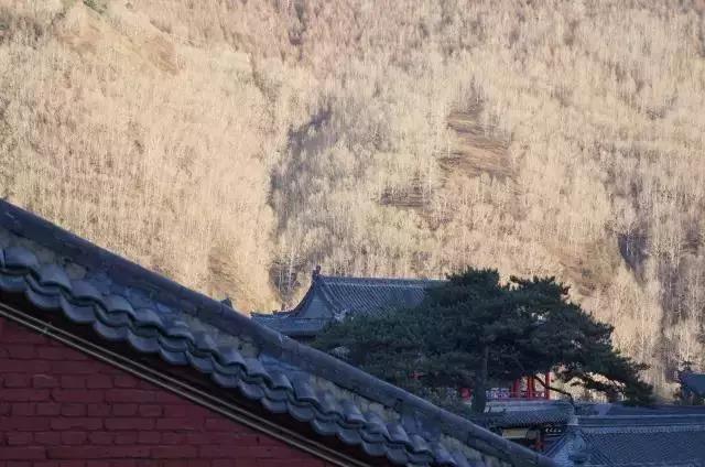 һ����̨ɽ����Ե����꣡