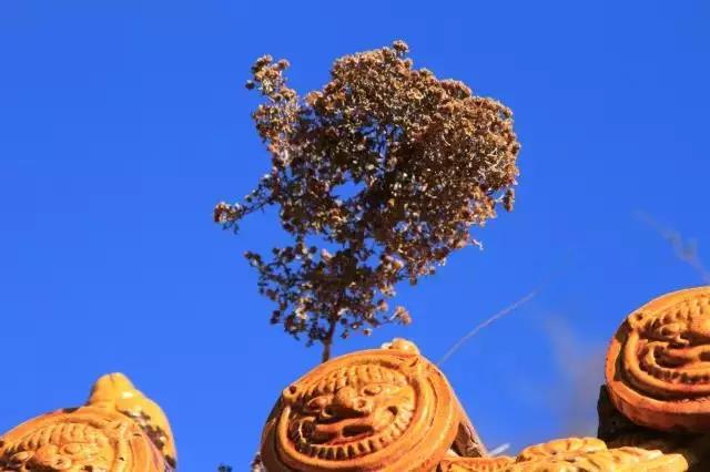 һ����̨ɽ����Ե����꣡