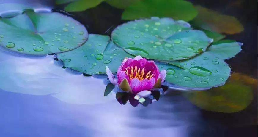 努力拼搏也不尽人意,是什么原因? 努力拼搏也不尽人意,是什么原因?