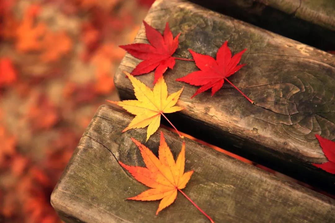 �ᾭ�����������ˡ���Ƣ���������Ҳ�ܲ�ס�Լ�����ô�죿