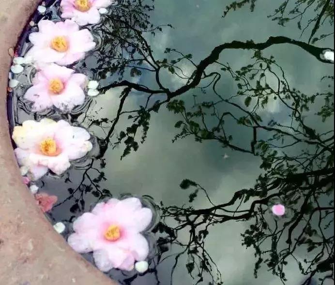 “命中注定”是因果吗? “命中注定”是因果吗?