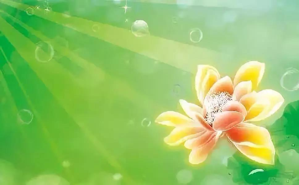 念一句“阿弥陀佛”,为的是什么? 念一句“阿弥陀佛”,为的是什么?