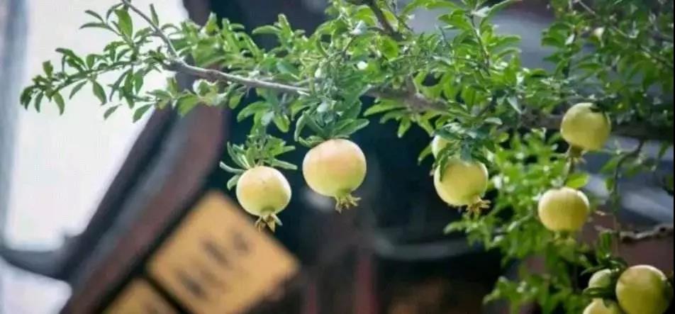 �������У������������˼�飡