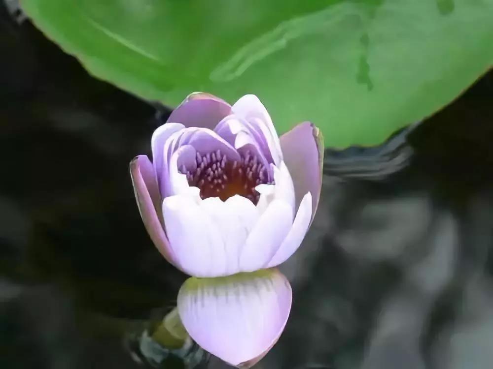 �������У������������˼�飡