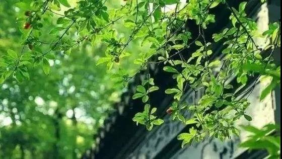 积阴德太重要了!一起来看看古人是怎么积阴德的 积阴德太重要了!一起来看看古人是怎么积阴德的