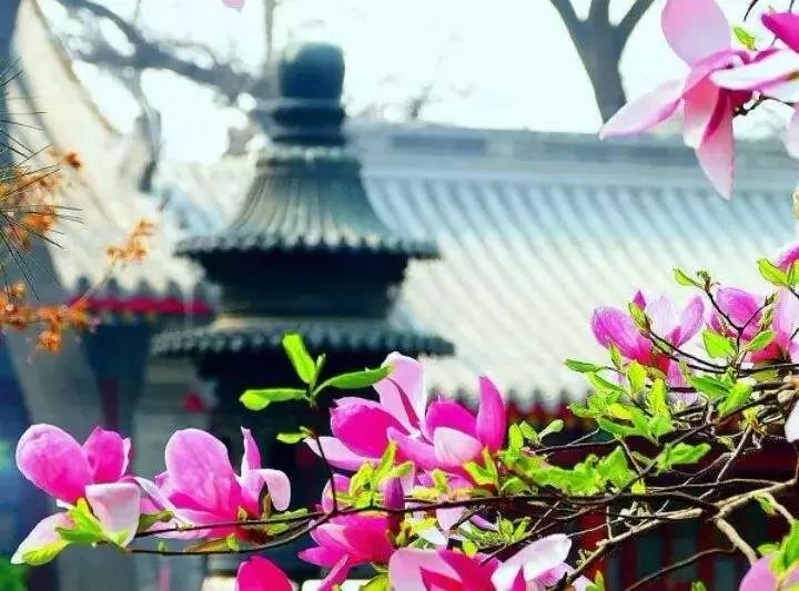 积阴德太重要了!一起来看看古人是怎么积阴德的 积阴德太重要了!一起来看看古人是怎么积阴德的