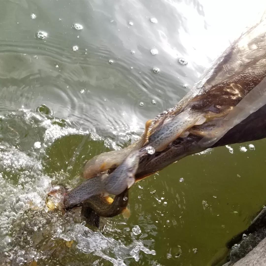 �����Ĺ��£����԰���ʵ�ָ��ָ�������Ը��