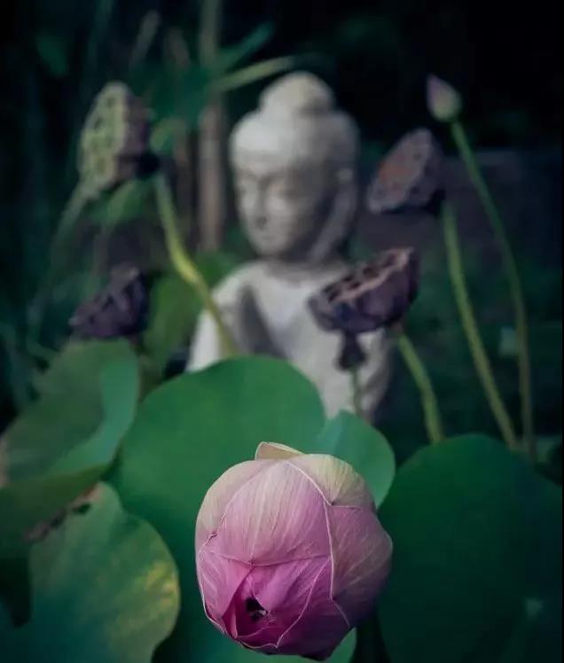 其实,你可以把衣食住行都变成修行 其实,你可以把衣食住行都变成修行