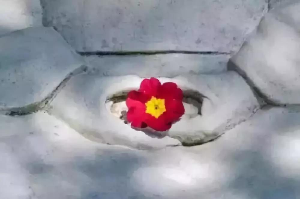 其实,你可以把衣食住行都变成修行 其实,你可以把衣食住行都变成修行