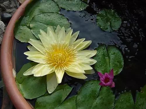 其实,你可以把衣食住行都变成修行 其实,你可以把衣食住行都变成修行