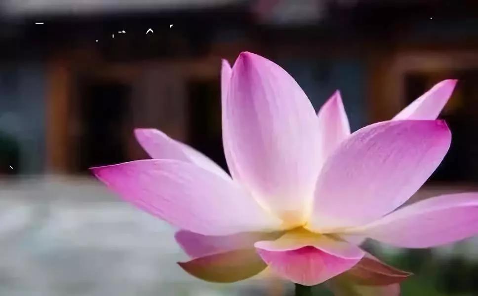 ��һ�������ƣ�����ѧ����