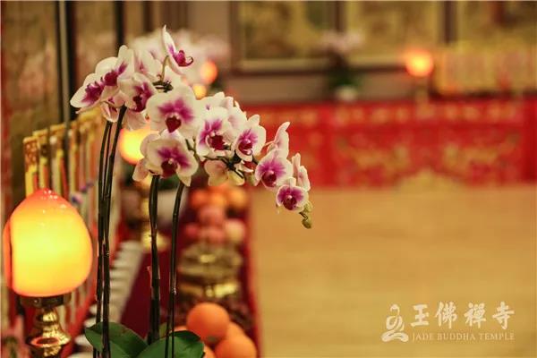 ��˭ȥ����Ժ�࣬��˭��ʦ��������ѧ������Ҫ������š��ġ�