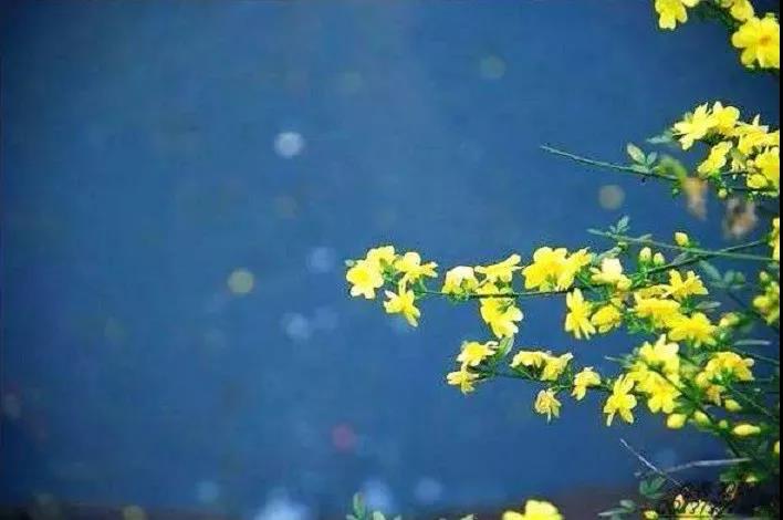 慈悲的人,看什么都顺眼 慈悲的人,看什么都顺眼