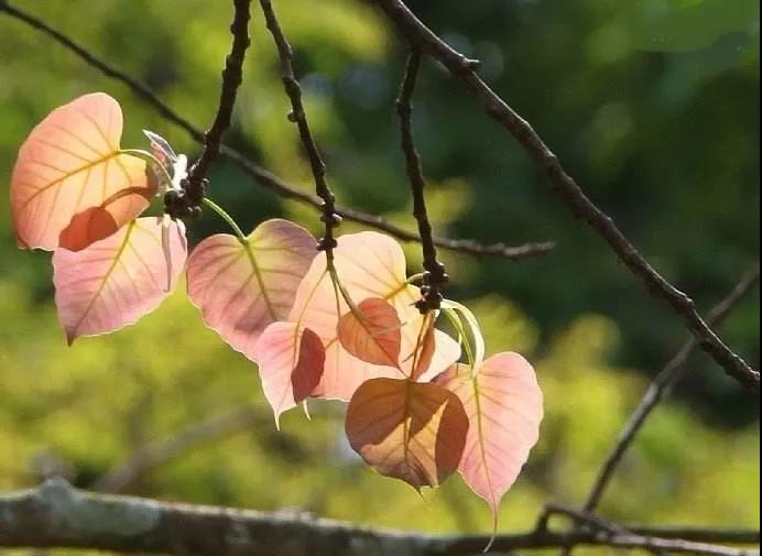 �ͳ������֣�����ִ���֣������ѧ��