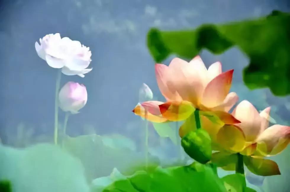 �ͳ������֣�����ִ���֣������ѧ��