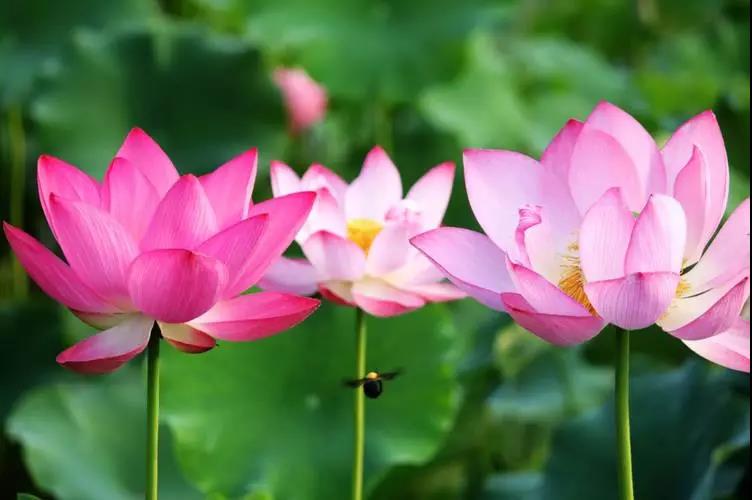 ����������������������ѧ����Ҫ������Щ�����ϵġ�������