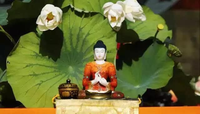 �����ڼҳ��ң�����ʮ���¾���������