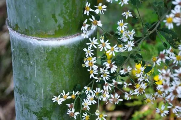 质量不好能投诉,命运不好要找谁? 质量不好能投诉,命运不好要找谁?