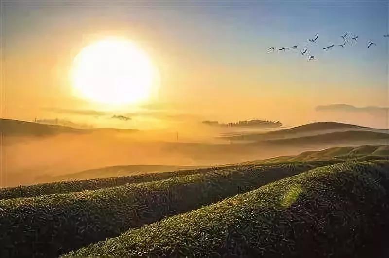 质量不好能投诉,命运不好要找谁? 质量不好能投诉,命运不好要找谁?