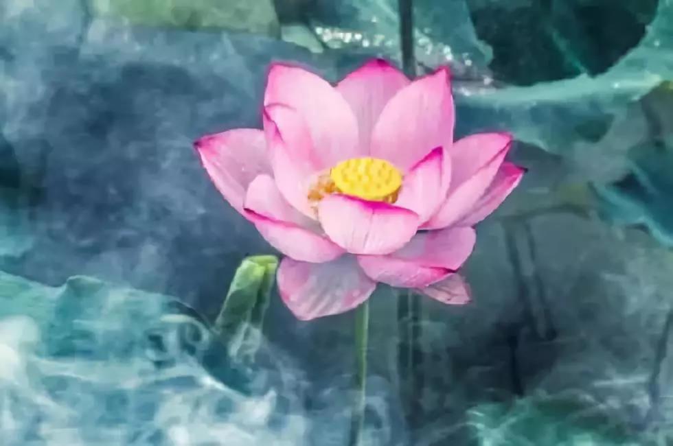 质量不好能投诉,命运不好要找谁? 质量不好能投诉,命运不好要找谁?