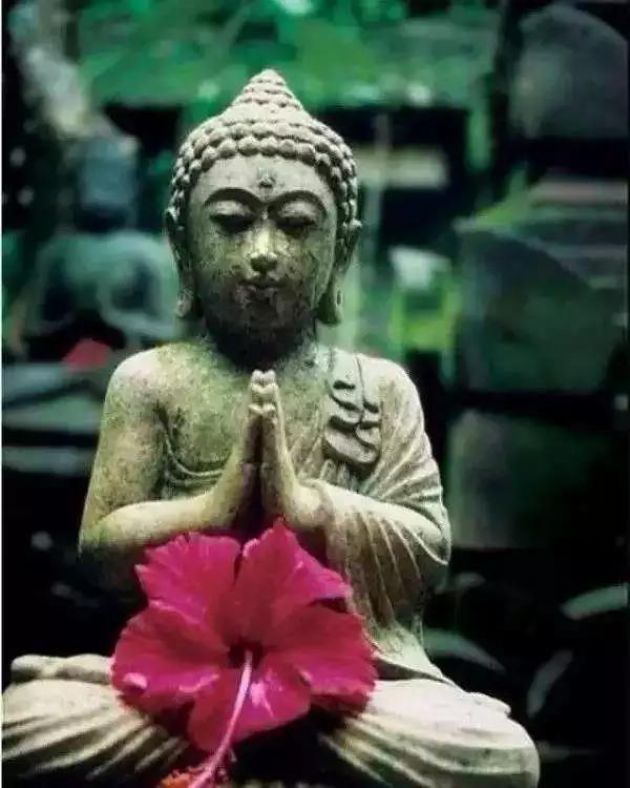 ���˲��õģ�һ���Ӿ���ת�䣬������