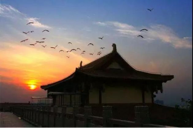 记住:念佛三不问,往生不绕弯! 记住:念佛三不问,往生不绕弯!