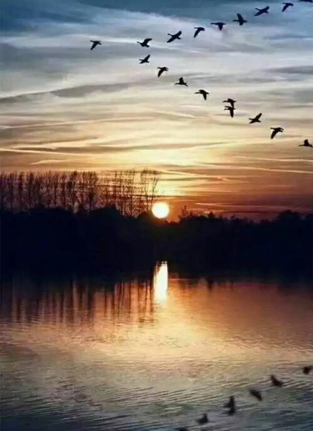 Ϊʲô���Ī��ϲ��������һ���ˣ�