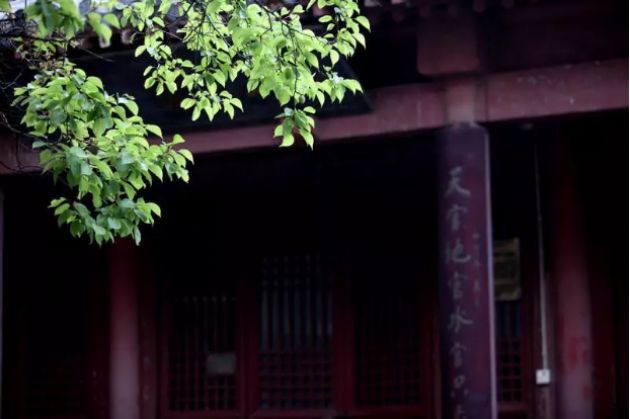 ��Ȼ����ô�ã�Ϊ���ŷ������ô�٣�