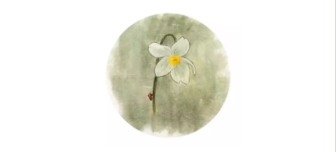 游历西方极乐世界,坐在莲华中,乐不可言! 游历西方极乐世界,坐在莲华中,乐不可言!