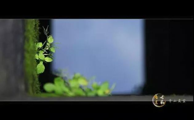 净界法师:为什么我们临终十念可以往生? 净界法师:为什么我们临终十念可以往生?