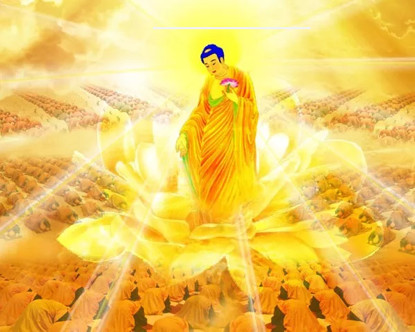 医院里的「生死轮回站」 医院里的「生死轮回站」