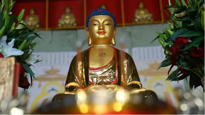 十年学佛路,改变了我的人生! 十年学佛路,改变了我的人生!