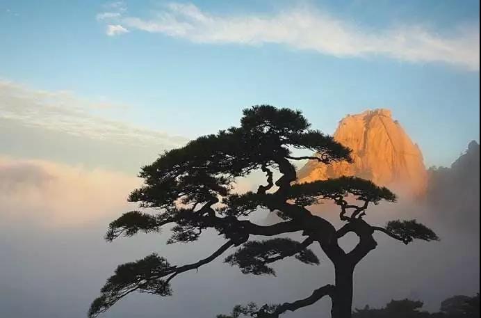 �������������_����_�������������