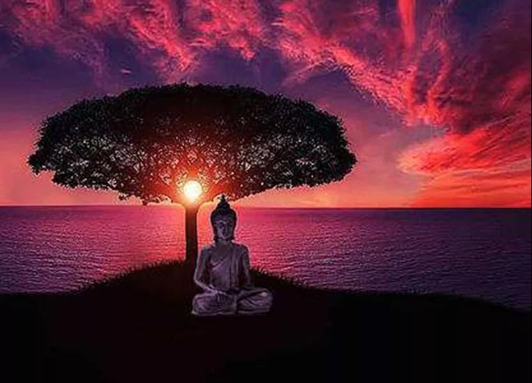 ������ʦ���µ�ʮ�زơ���