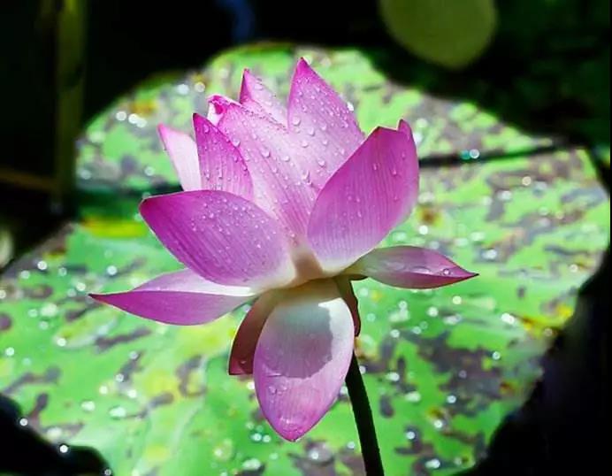 ̰���ģ�ʹ���ģ�