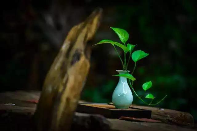 ̰���ģ�ʹ���ģ�