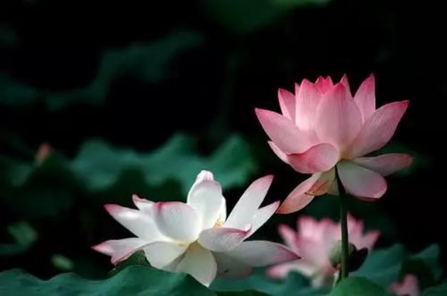 Ϊ�κܶ�ѧ���˵ļ�ͥ����������