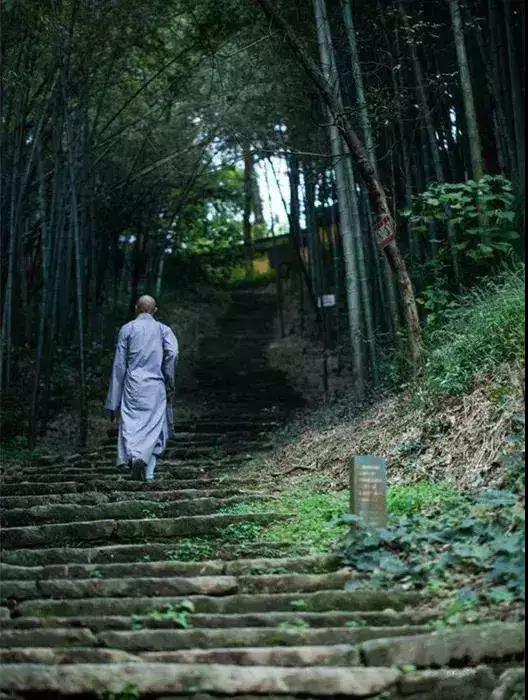 忏悔的效果如何知道?忏悔了还会受果报吗? 忏悔的效果如何知道?忏悔了还会受果报吗?