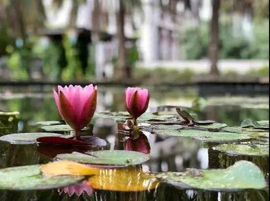 �ڷ�ɮ��ǰ����ʿ�ı�����ʲô��