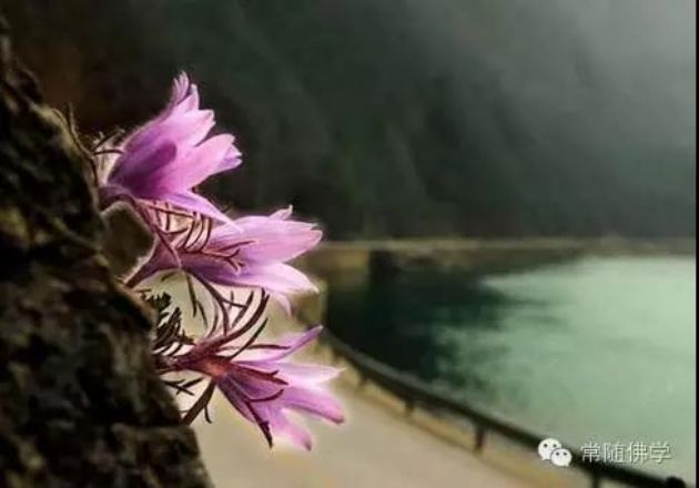 ����ѧ��_ѧ����ȷ�������������ش������